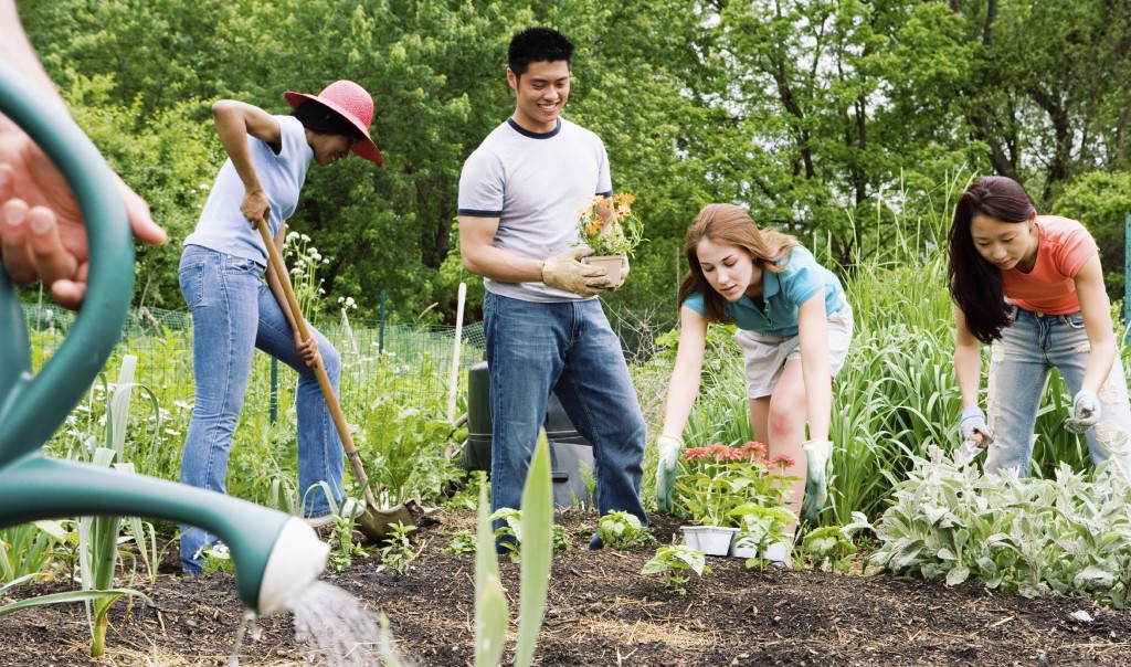 Group planting in community garden - Better Tennessee