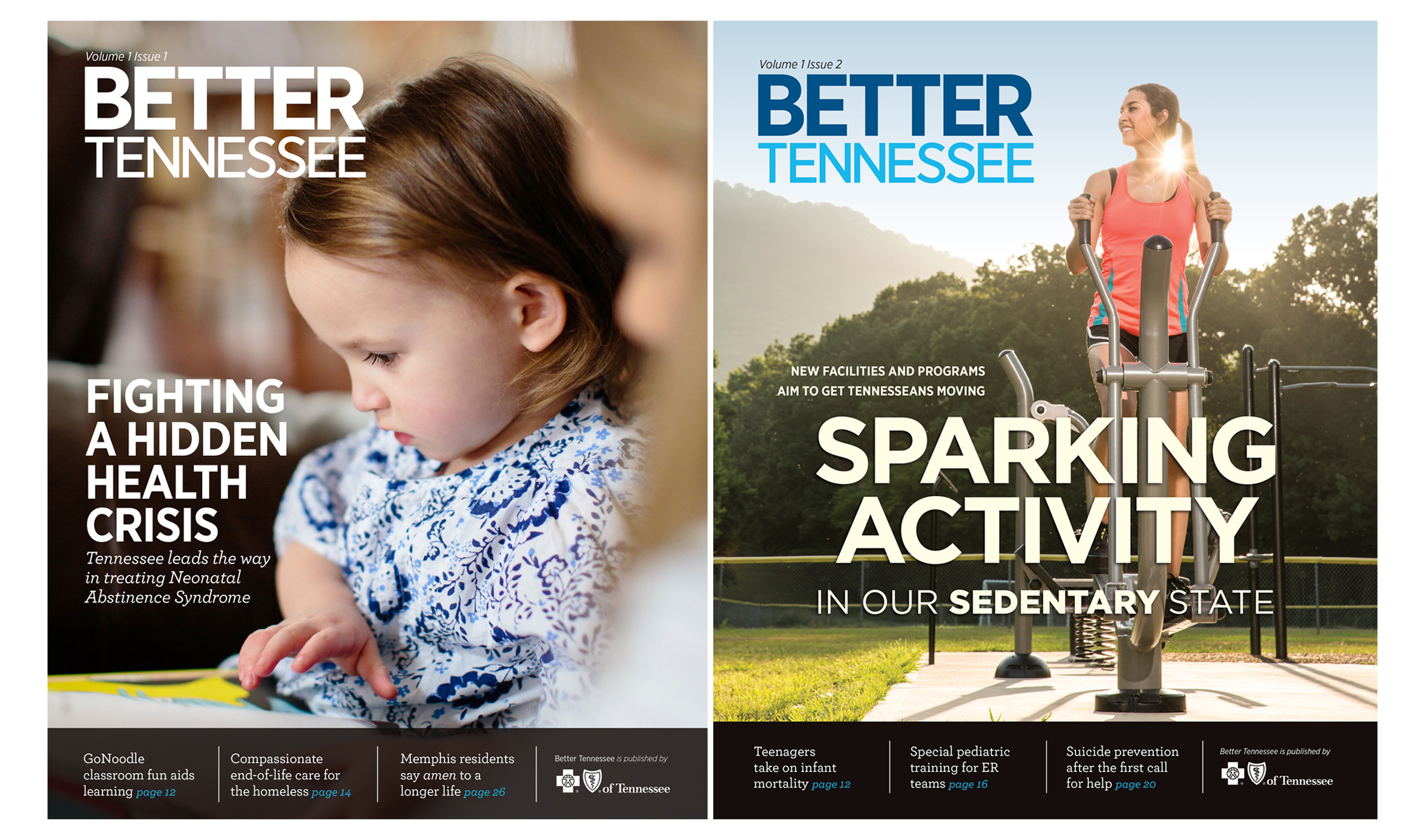 Tennessee S Biggest Challenges Activity Access Addiction Tennessee S Biggest Challenges Activity Access Addiction